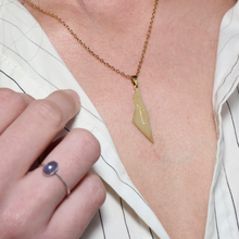 Load image into Gallery viewer, Palestine Map Necklace  "فلسطين"